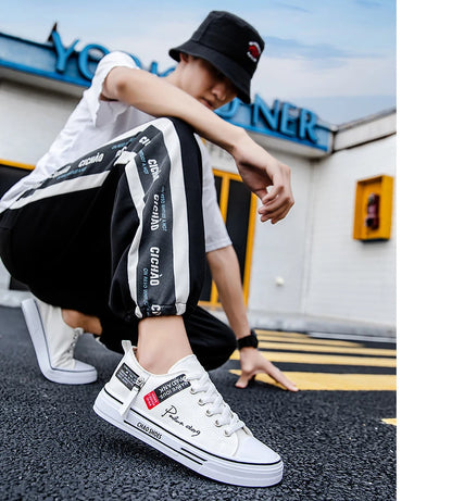 2025 Summer Men's Canvas Sneakers Low-Top Casual Breathable Shoes for Teen Trendy Lightweight Youth Streetwear Comfort Footwear